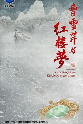 曹雪芹与红楼梦 第06集